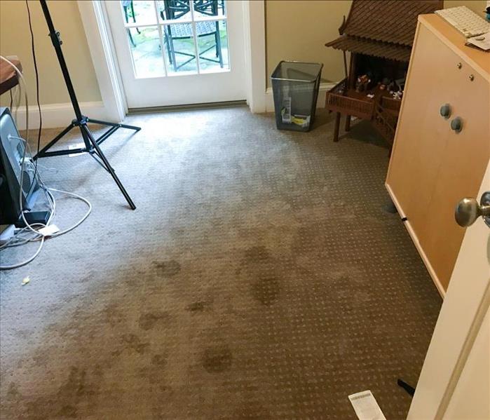 Carpets with water damage. 