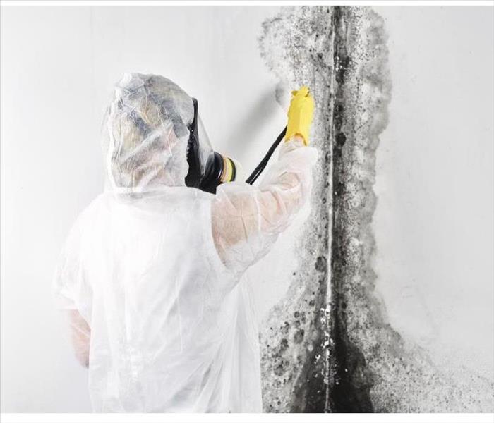 A professional disinfector in overalls processes the walls from mold. Removal of fungus in the apartment and house. 