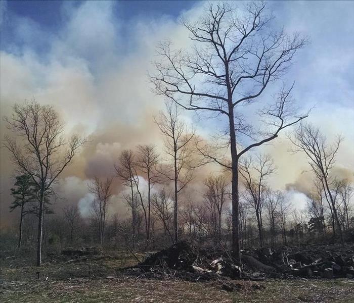 Wildfire in the Poconos