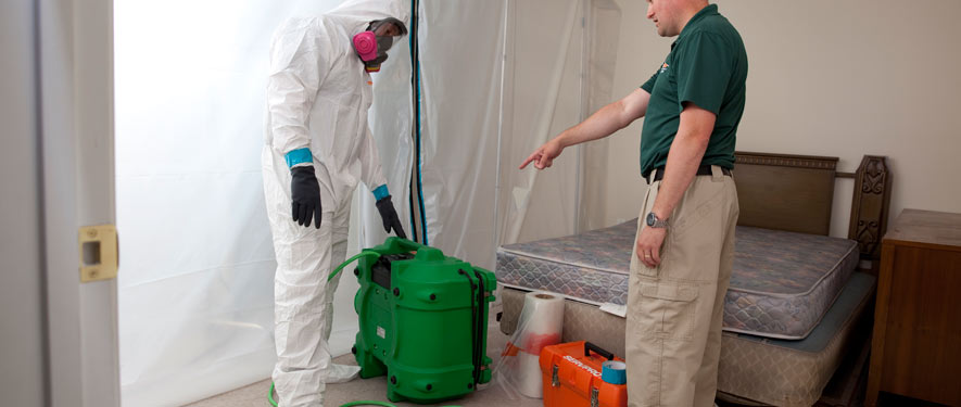 Phoenixville, PA mold removal process